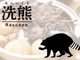 アライグマアイキャッチ