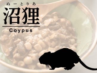 ヌートリアアイキャッチ