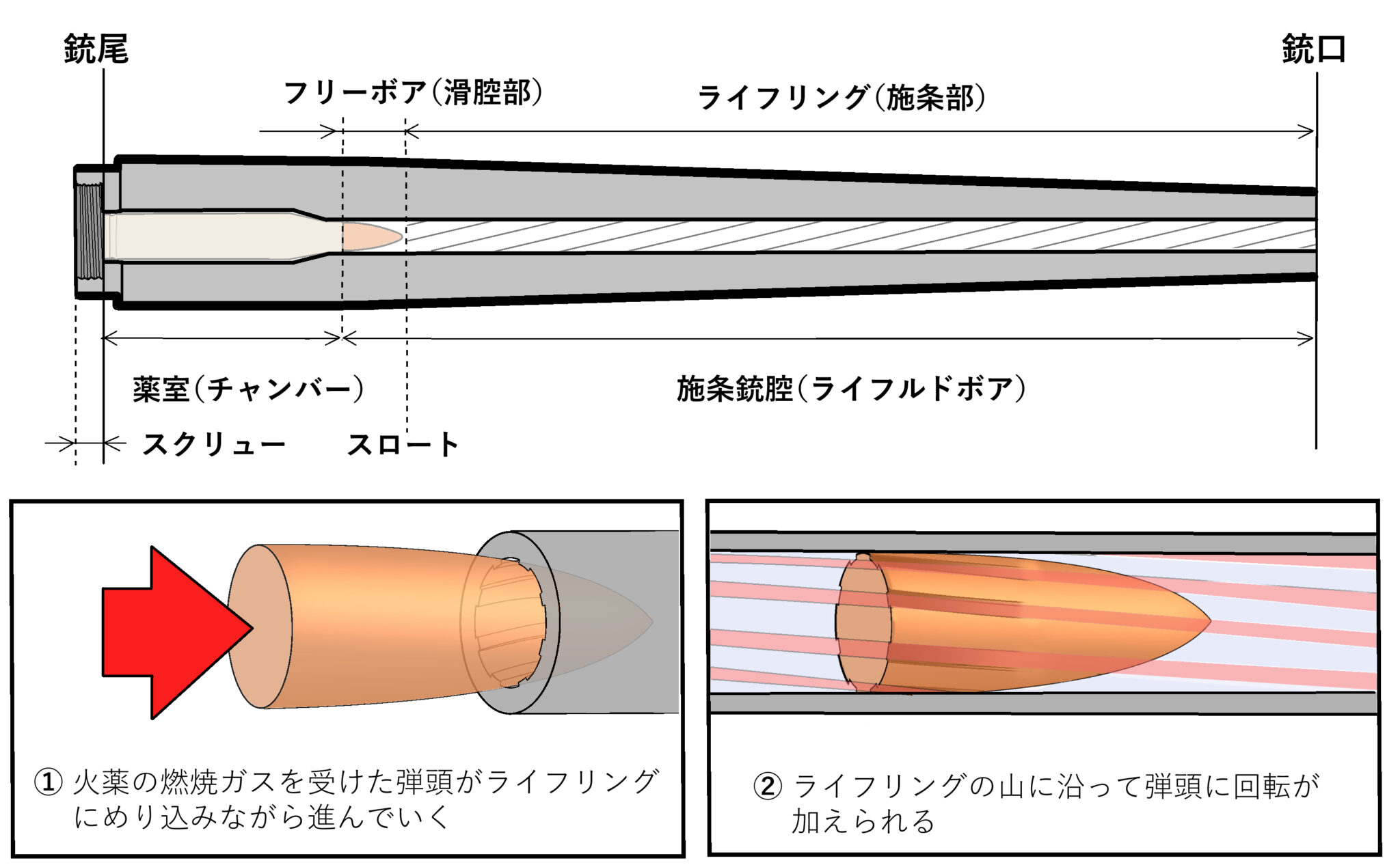 『ライフル弾頭』ってどんな弾？小指ほどの金属片に込められた”驚きの工夫”の数々 | 新狩猟世界