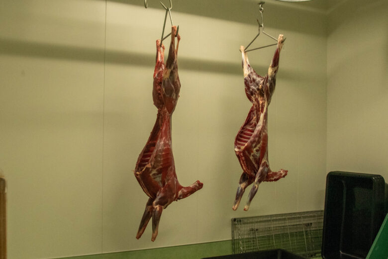 鹿肉の熟成