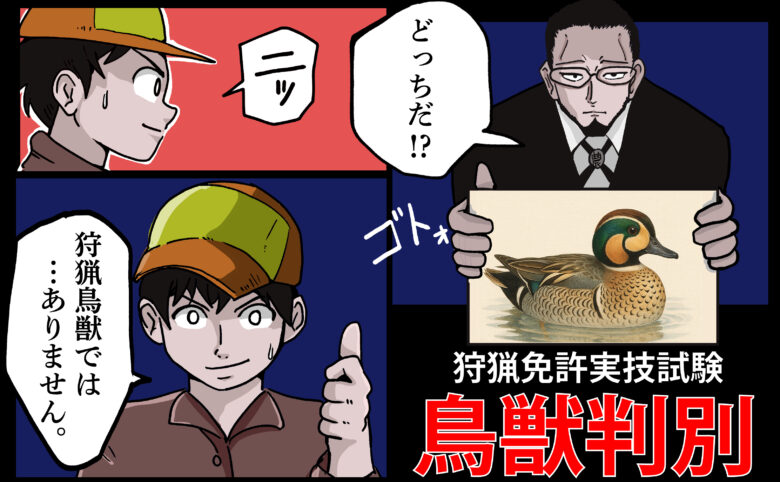 鳥獣判別アイキャッチ