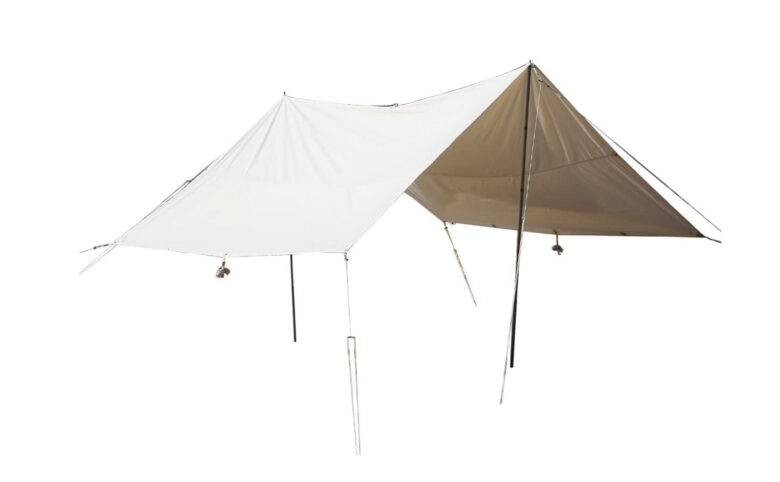 コットンタープ