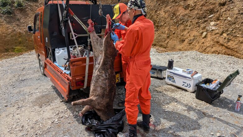 オレンジ色の服